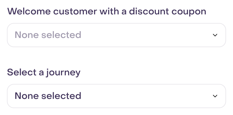 Optional step of a fictional form with coupon and journey selectors left unassigned.
